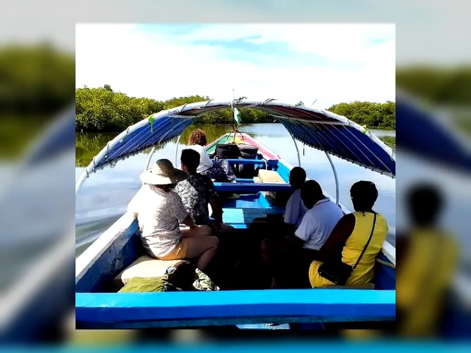 Pirogue dans la mangrove du delta du Sine Saloum